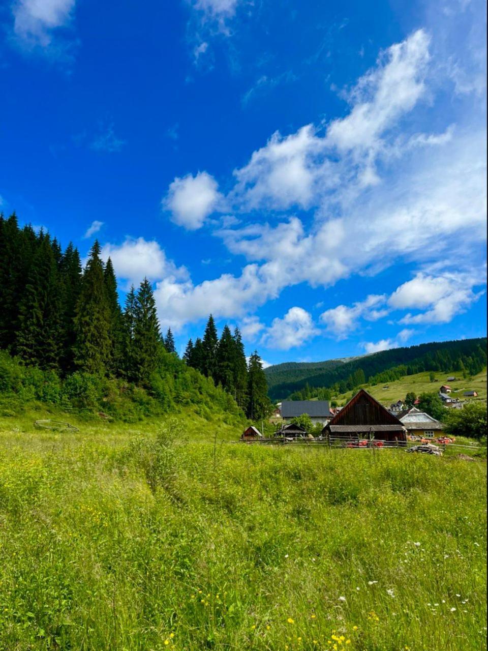 Girskiy Prutets Bukovel Kültér fotó